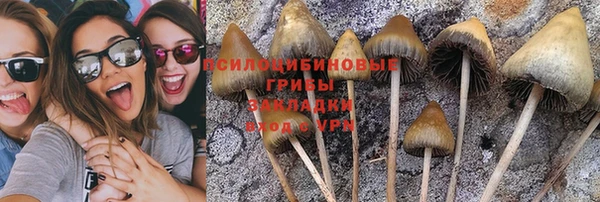 крисы Кинешма