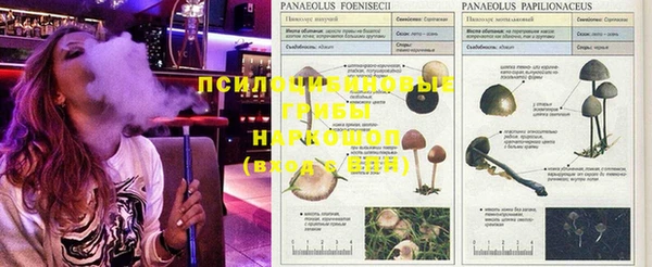 a pvp Киреевск