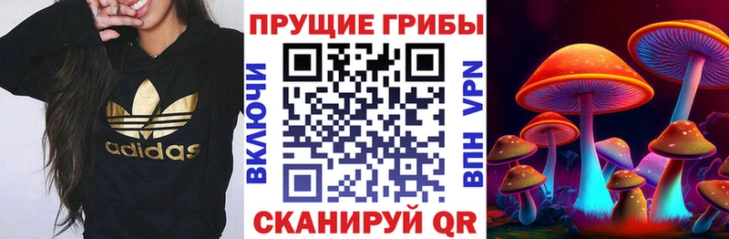 Псилоцибиновые грибы мухоморы  Приозерск 